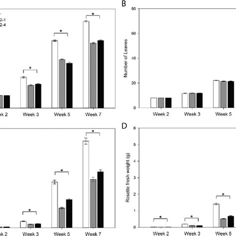 A Comparison Of The Rosette Phenotypes Of Wild Type Wt A Thaliana