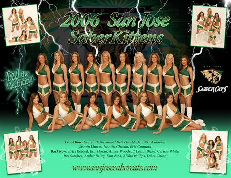 San Jose SaberKittens Poster - HeyJames