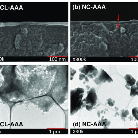 Cross Sectional Morphologies Of A CL AAA And B NC AAA Derived