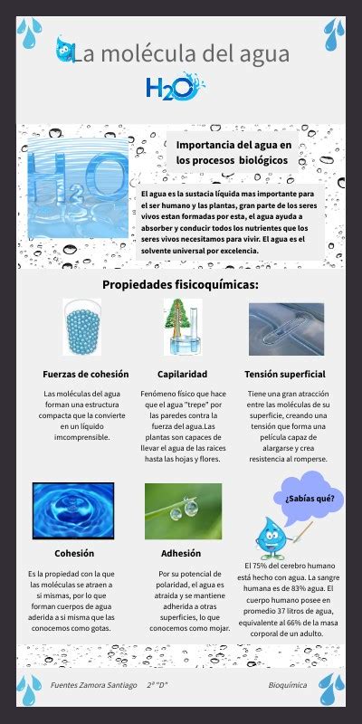 Infograf A La Bioqu Mica Y El Agua