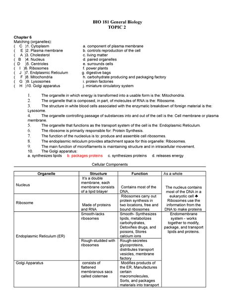 WEEK 3 HW CH 6 Worksheet BIO 181 General Biology TOPIC 2 Chapter 6