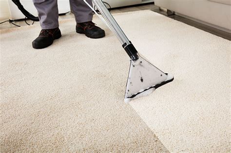 Signs That You Need Professional Carpet Cleaning Services 1st Choice