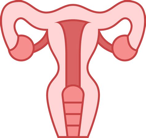 Flower Uterus Clip Art Hot Sex Picture