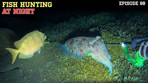 NIGHT SPEARFISHING EPISODE 88 FISH HUNTING AT NIGHT YouTube