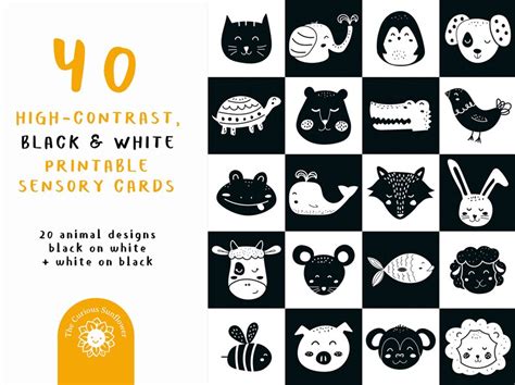 100 High Contrast Baby Cards Bundle Printable Montessori Etsy