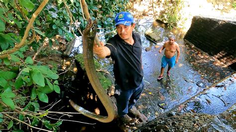 Pesca Con Anzuelo En La PequeÑa Presa Una Anguila Nos Sorprende Youtube