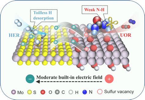 校长魏世忠教授团队在材料领域国际顶级期刊《advanced Materials》上发表科研论文