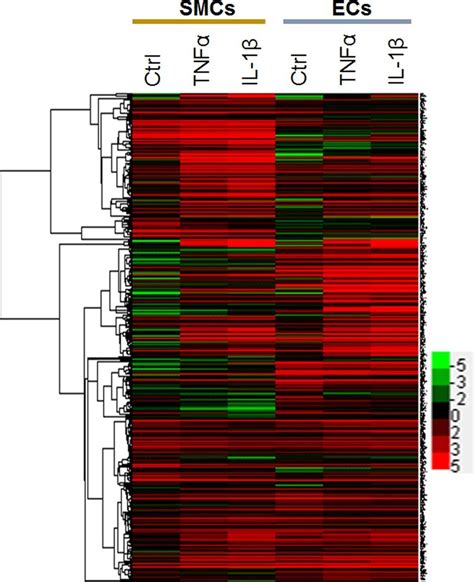 Heatmap Of Expression Values Of All Genes In The Selected Four Gene