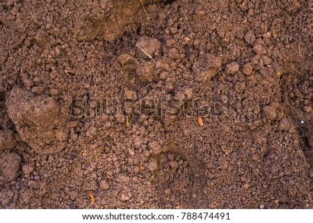 Loam Soil Stock Images, Royalty-Free Images & Vectors | Shutterstock