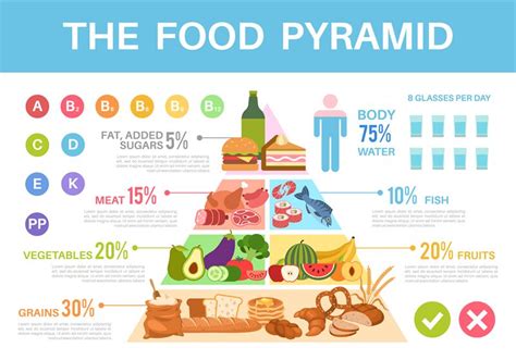 Food Pyramid Nutritional Value Healthy Eating Infographics Different