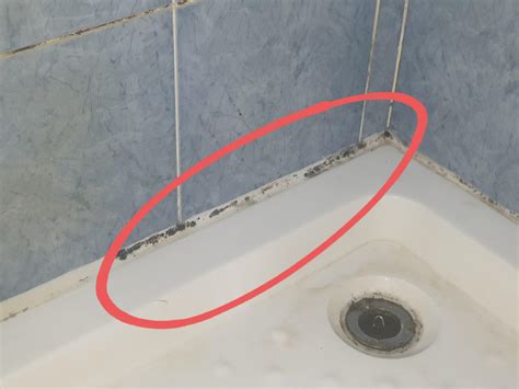 how to get rid of mold on bathroom walls 7