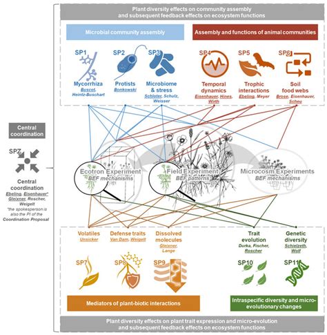 Biotic Interactions Community Assembly And Eco Evolutionary Dynamics