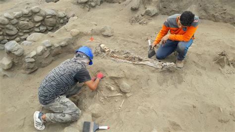 Hallan Esqueletos De 56 Niños Sacrificados En La Cultura Chimú Fotos