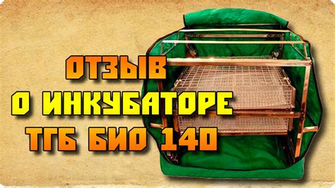 Отзыв о инкубаторе для яиц ТГБ БИО 140 (реальный клиент) - YouTube