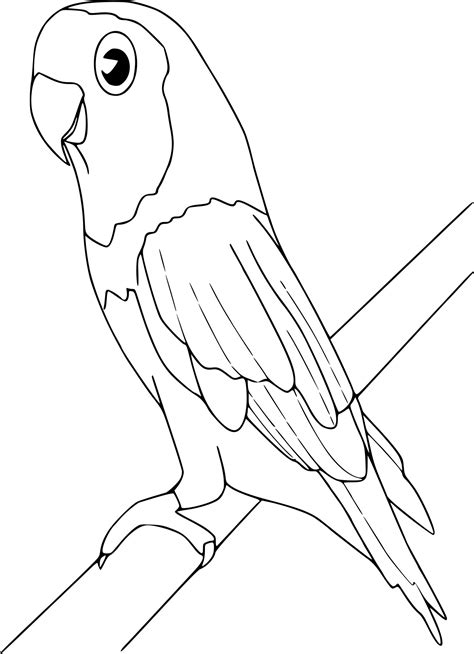 Coloriage Oiseau 5 Coloriage Oiseaux Coloriages Animaux Porn Sex Picture