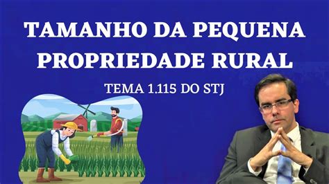 Tamanho Da Pequena Propriedade Rural Tema 1 115 Do STJ Segurado