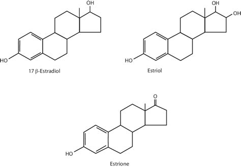 Chemical Structures Of Endogenous Oestrogens 16 Download