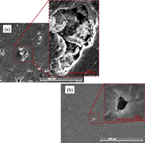 Sem Of Microstructures Showing The Polished Surface Of Sintered 2017