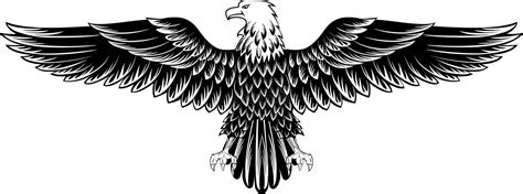 Eagle Vector Illustration Eagle Tattoos Eagle Images Traditional