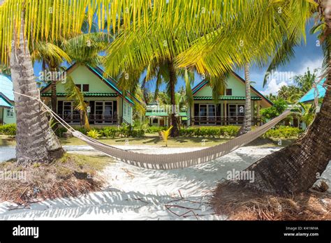 Empty Hammock Between Palm Trees On Tropical Beach In Thailand Stock