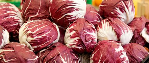 Radicchio Seeds for Sale | Cabbage-Like Salad Greens – Sow Right Seeds