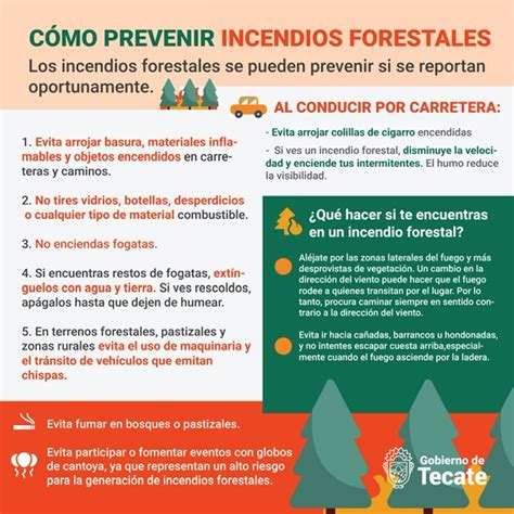 Tecate Emiten Recomendaciones Para Prevenir Incendios Forestales En La Ciudad Tecate Informativo