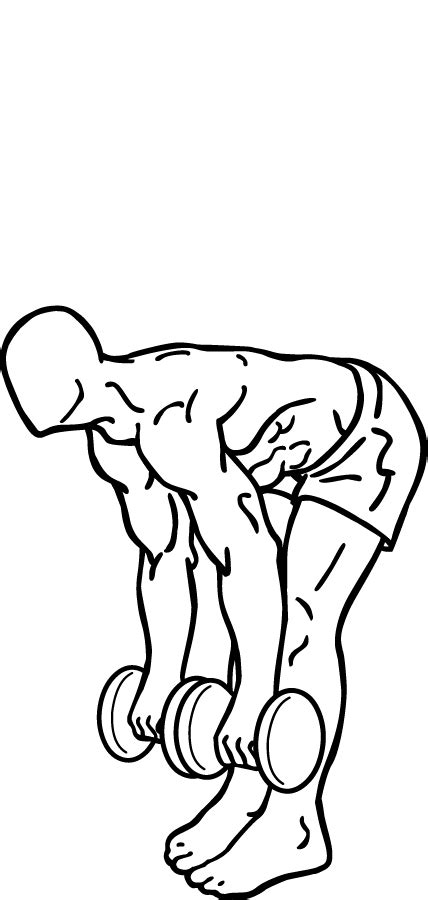 Romanian deadlift - Physiopedia