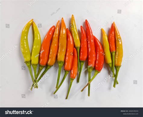 Red Chili Peppers Red Hot Chili Stock Photo 2202578333 Shutterstock