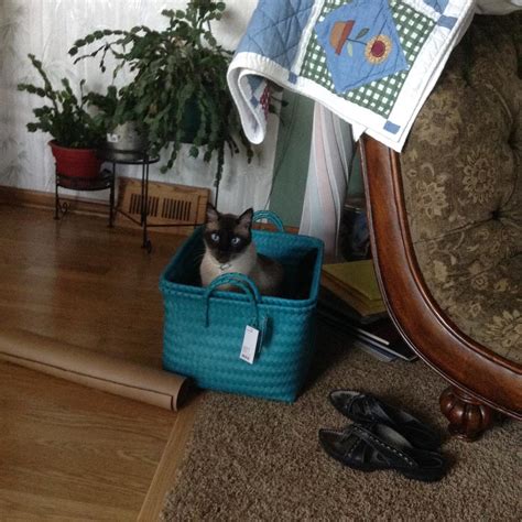 Travel South Dakota added a new... - Travel South Dakota