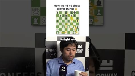 How Chess Genius Thinks