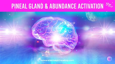 Free Pineal Gland & Abundance Activation - Star Magic