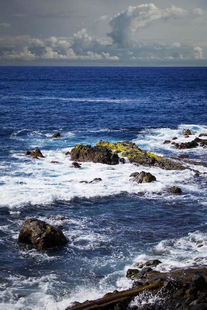 Premium Photo Coastal Promenade Along Ocean In Puerto De La Cruz