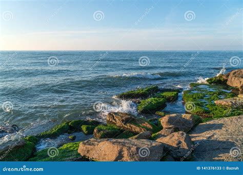 Orilla De Mar Colorida Con Las Algas Verdes Salpicando Ondas Imagen De