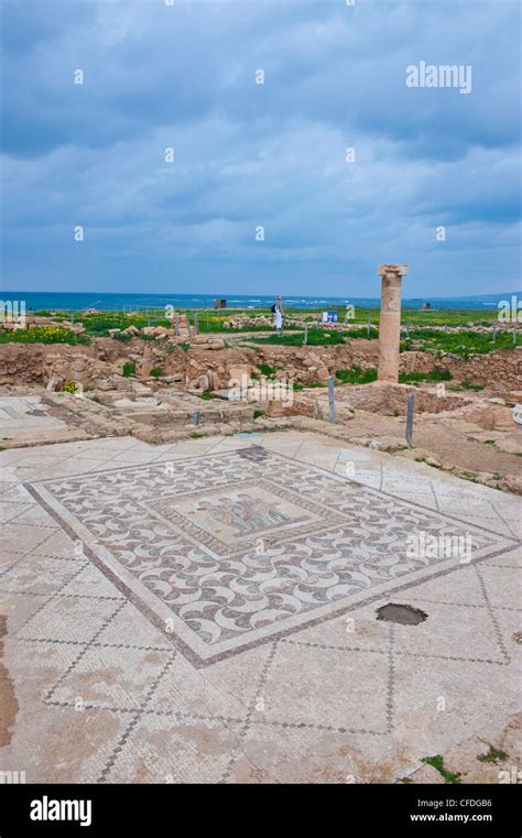 Paphos Mosaiken Fotos Und Bildmaterial In Hoher Aufl Sung Alamy