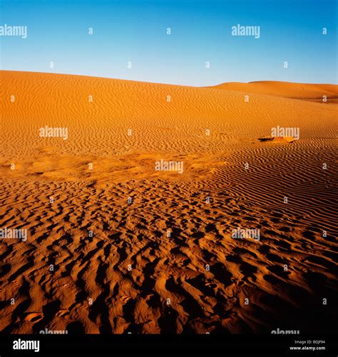 Sand Dunes, Simpson Desert, Australia Stock Photo - Alamy