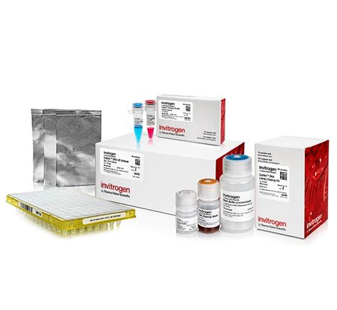 Invitrogen Collibri PCR Free PS DNA Library Prep Kits For Illumina