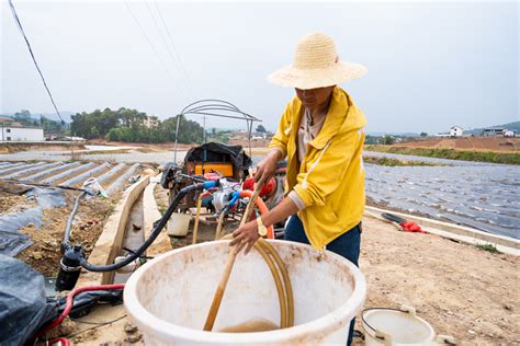 保山市施甸县万亩烟田水肥一体化推进高效节水灌溉