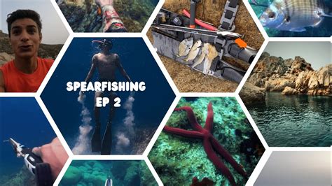 Spearfishing - EP 2 🌊🐠 - YouTube