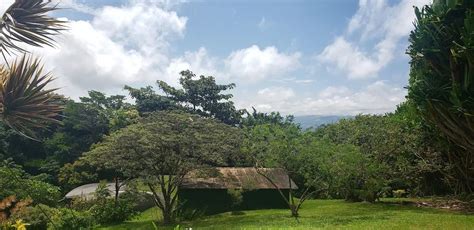 Delightful Hobbit House With Earth Roof Lake Arenal Properties