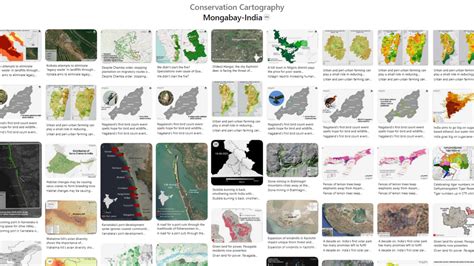 Conservation Cartography — Technology for Wildlife Foundation