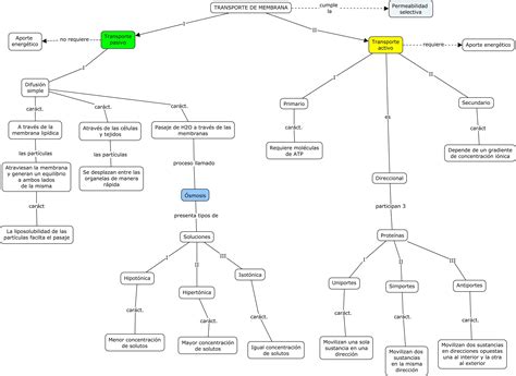 Mapa Conceptual Transport Celular Coggle Diagram Gambaran Porn Sex