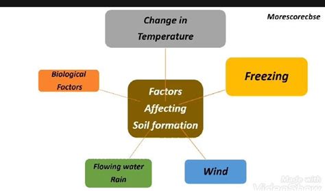 Soil formation, factors affecting soil formation