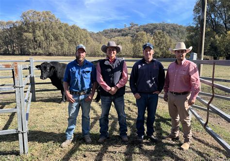 2025 Spring Bull Sale - Reiland Angus : Reiland Angus end
