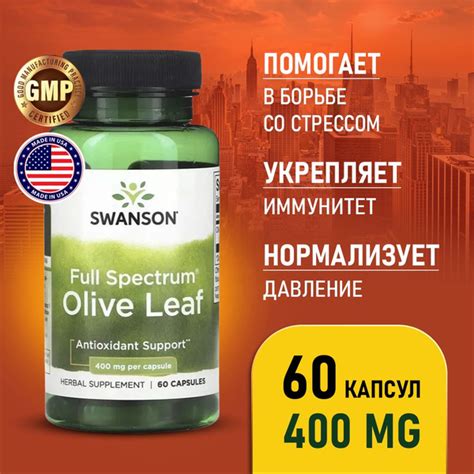 Листья оливы экстракт 400 мг 60 Caps, Swanson Full Spectrum Olive Leaf ...