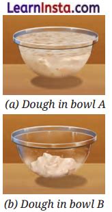 The Invisible Living World Beyond Our Naked Eye Class 8 Extra Questions And Answers Science