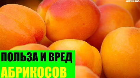 Польза и вред абрикосов - YouTube