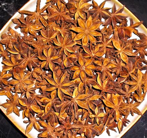 Organic Star Anise Illicium Verum Dried Pods Natural Etsy