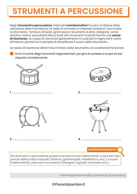 Strumenti A Percussione Schede Didattiche Per La Scuola Primaria