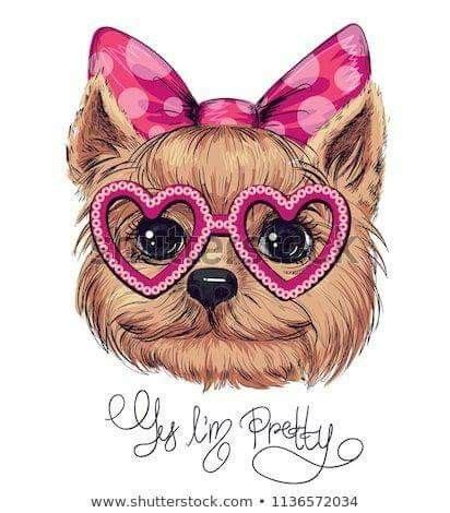 Pin de Marlene Dellazeri en INSPIRAÇÃO Perros lindos Perros en