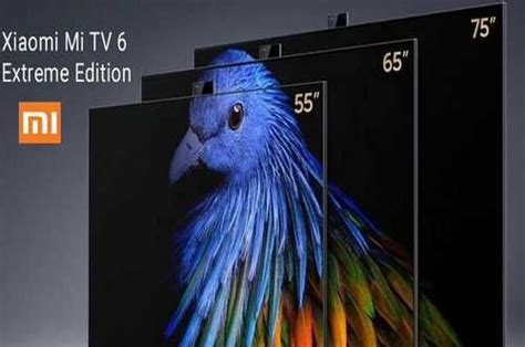 Телевизор Xiaomi Mi TV 6 Extreme Edition 55 qled Festima Ru